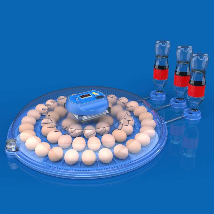 52pcs Egg Automatic Incubator Supports 12V And 220V Power Supply, EU Plug