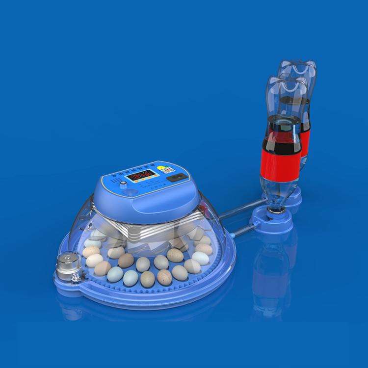 33pcs Bird  Egg Automatic Incubator Supports 12V And 220V Power Supply, EU Plug