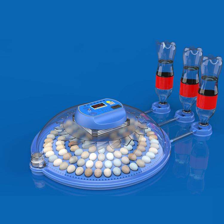 248pcs Bird Egg Automatic Incubator Supports 12V And 220V Power Supply, EU Plug
