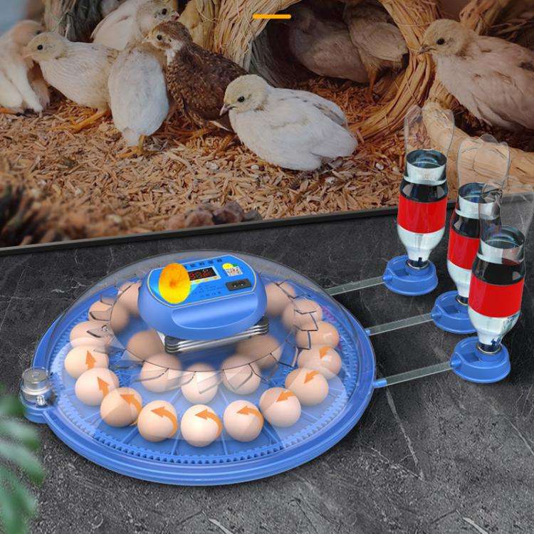 248pcs Bird Egg Automatic Incubator Supports 12V And 220V Power Supply, EU Plug