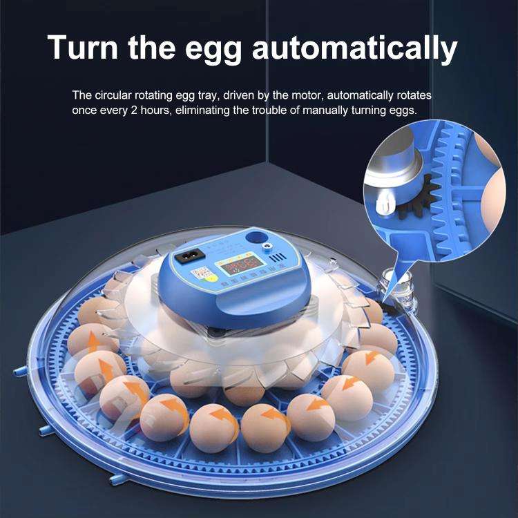 103pcs Bird Egg Automatic Incubator Supports 12V And 220V Power Supply, EU Plug