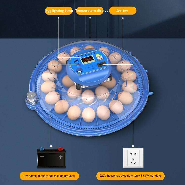 103pcs Bird Egg Automatic Incubator Supports 12V And 220V Power Supply, EU Plug