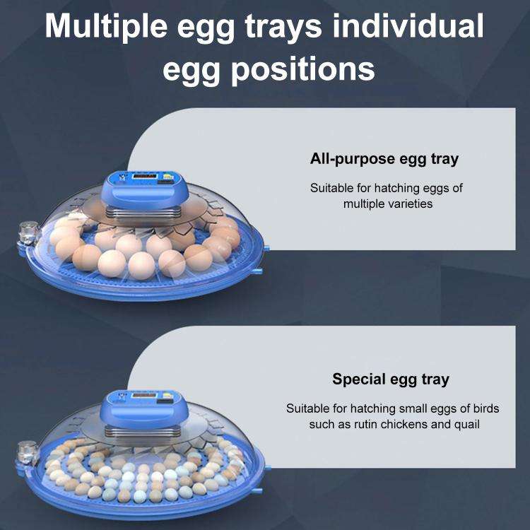 248pcs Bird Egg Automatic Incubator Supports 12V And 220V Power Supply, EU Plug