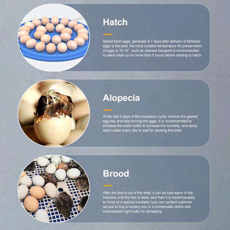 33pcs Bird  Egg Automatic Incubator Supports 12V And 220V Power Supply, EU Plug