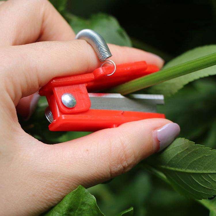 4pcs /Pack Melon and Fruit Picking Small Guillotine Grape Pinching Thumb Knife Vegetable Picker(Red)