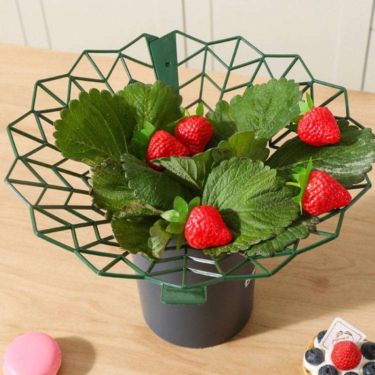 Strawberry Cultivation Anti-Rotting Planting Stand Plant Climbing Rack(Grass Green)