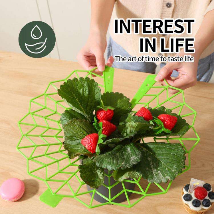 Strawberry Cultivation Anti-Rotting Planting Stand Plant Climbing Rack(Grass Green)