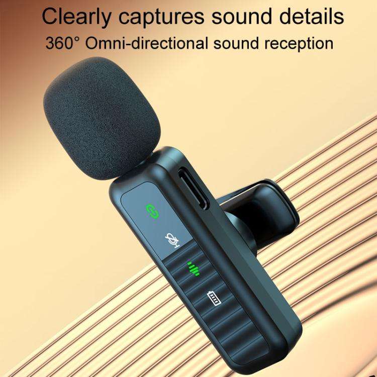 H63 Wireless Lavalier Microphone Live Shooting Audio Noise Canceling Device, Style: Dual Mic(Type-C)