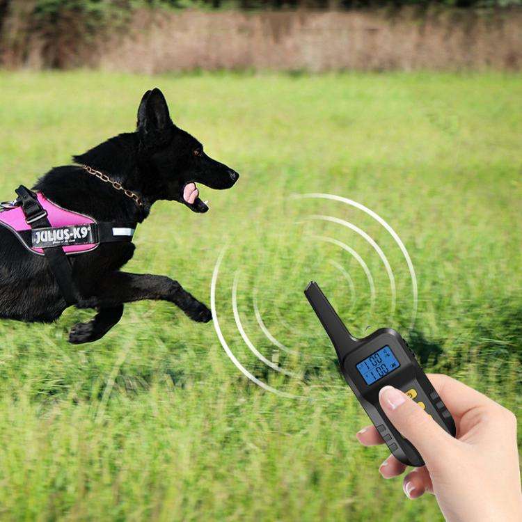 T720 1000m Pet Intelligent Electric Shock Remote Control Dog Training Device(Red)