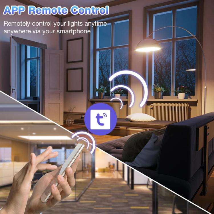 10A  Tuya WiFi Smart Switch Supports Amazon ALEXA/Google HOME Voice Control