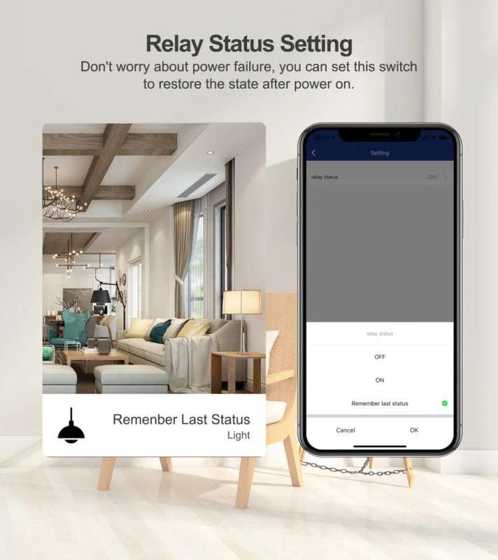 10A  Tuya WiFi Smart Switch Supports Amazon ALEXA/Google HOME Voice Control
