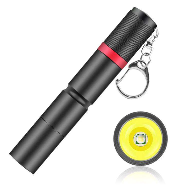 Mini Outdoor Portable XPE Fixed Focus LED Flashlight, Size: Large