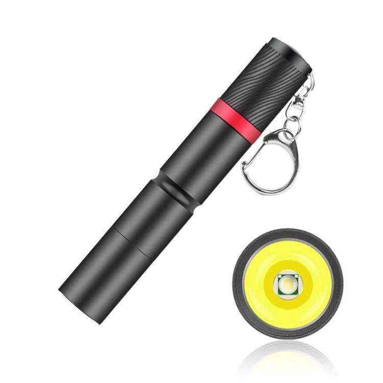 Mini Outdoor Portable XPE Fixed Focus LED Flashlight, Size: Small