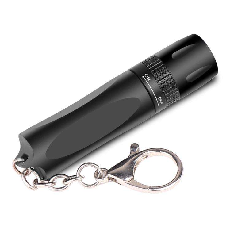 Small LED Portable Flashlight With Keychain(Black)