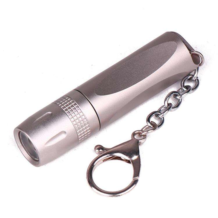 Small LED Portable Flashlight With Keychain(Gray)