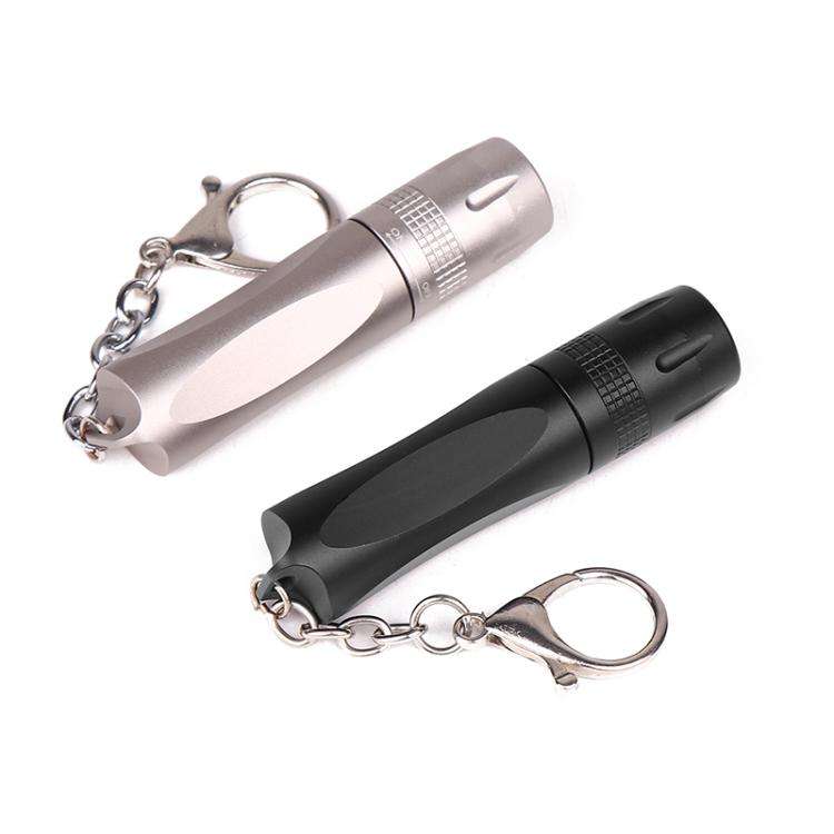 Small LED Portable Flashlight With Keychain(Black)