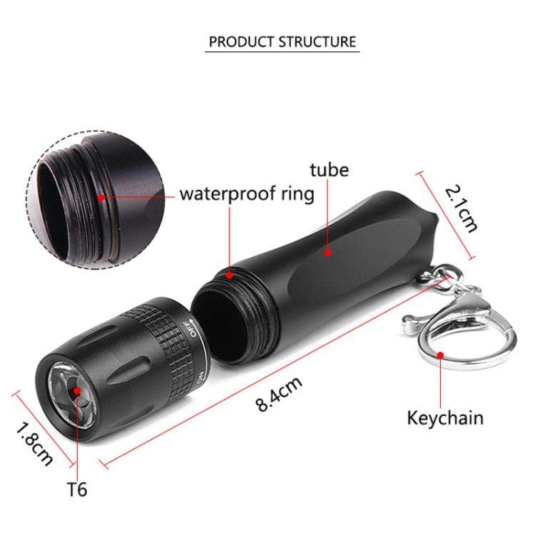 Small LED Portable Flashlight With Keychain(Black)