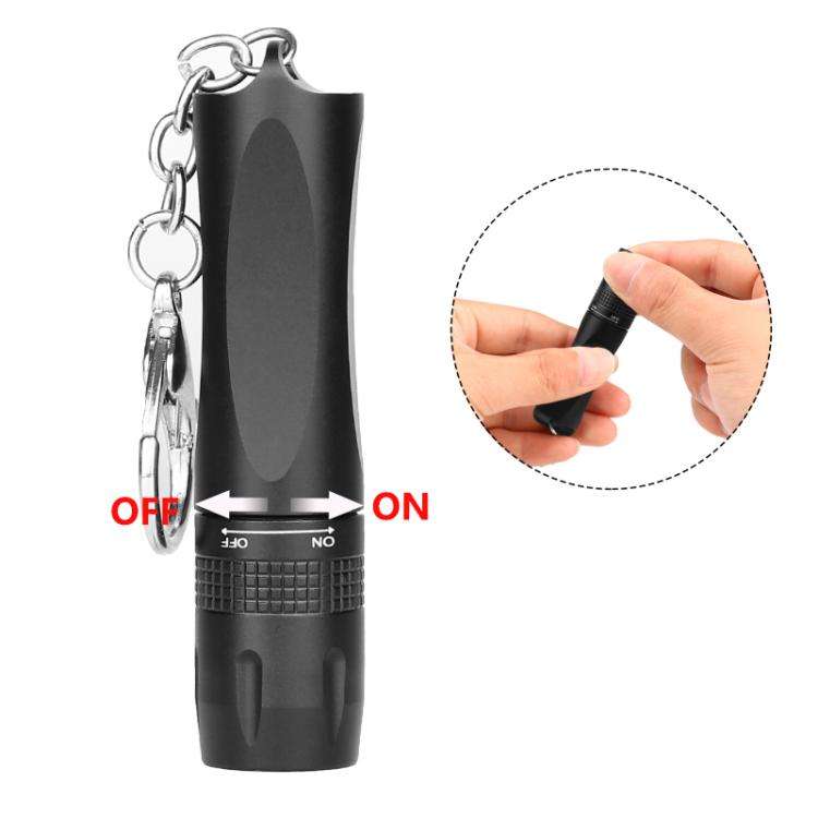 Small LED Portable Flashlight With Keychain(Black)