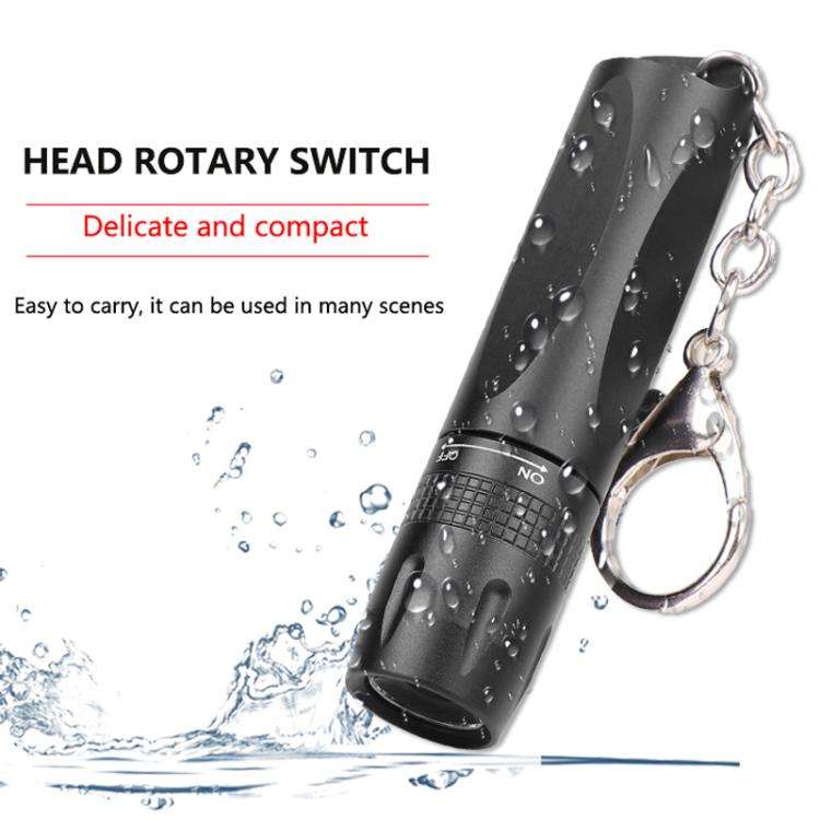 Small LED Portable Flashlight With Keychain(Black)