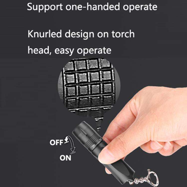 Small LED Portable Flashlight With Keychain(Black)