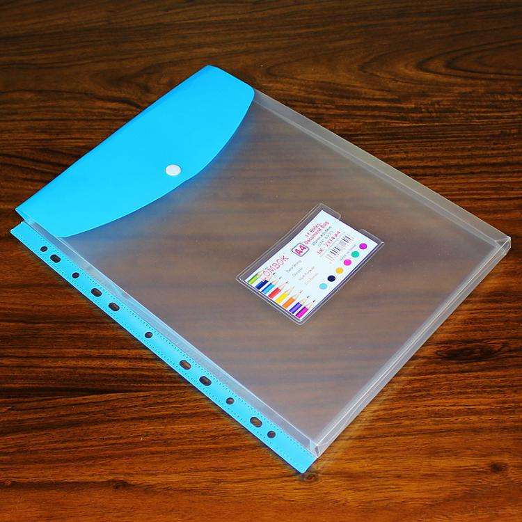 2pcs /Pack A4 Transparent Plastic File Folder 11-hole Loose-leaf Pocket with Snap Closure(Blue)