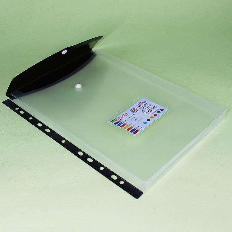2pcs /Pack A4 Transparent Plastic File Folder 11-hole Loose-leaf Pocket with Snap Closure(Blue)