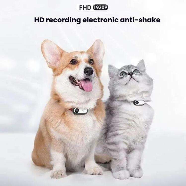 Pet Recorder With Collar Cat Dog View Camera, Size: WiFi With 64G Memory Card(Black)