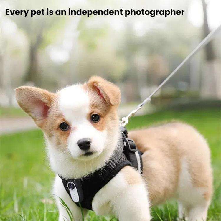 Pet Recorder With Collar Cat Dog View Camera, Size: WiFi With 64G Memory Card(Black)