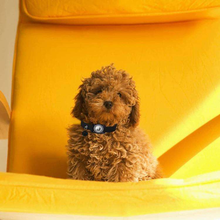 For AirTag Tracker Waterproof Protection Case Pet Leather Collar Anti Lost Cat Locator Collar(Pur...