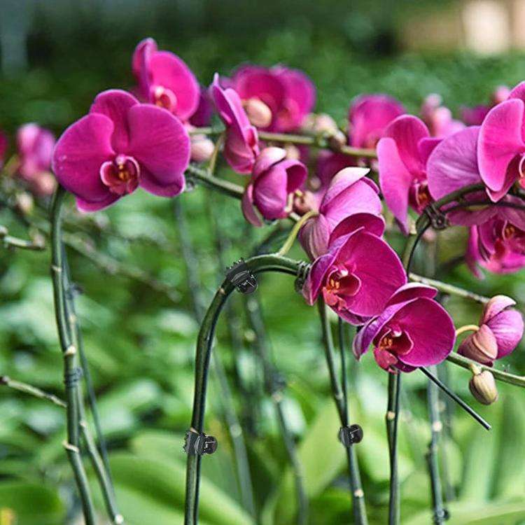 50pcs /Pack Gardening Vine Fixing Clip Plant Shaping Tool Plant Grafting Clip(AT945)