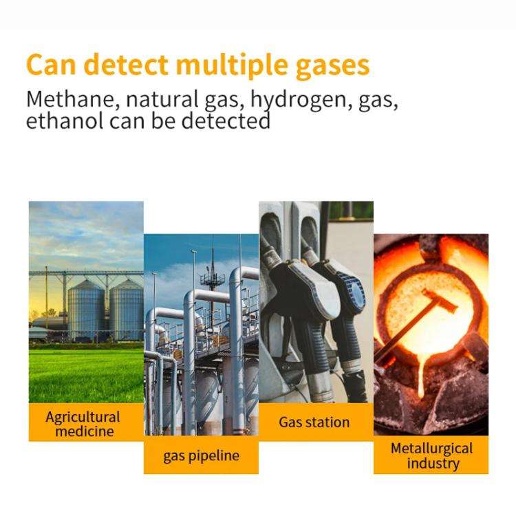SNDWAY SW-733B Combustible Gas Detector Explosion-Proof Natural Gas Gas Methane Gas Alarms