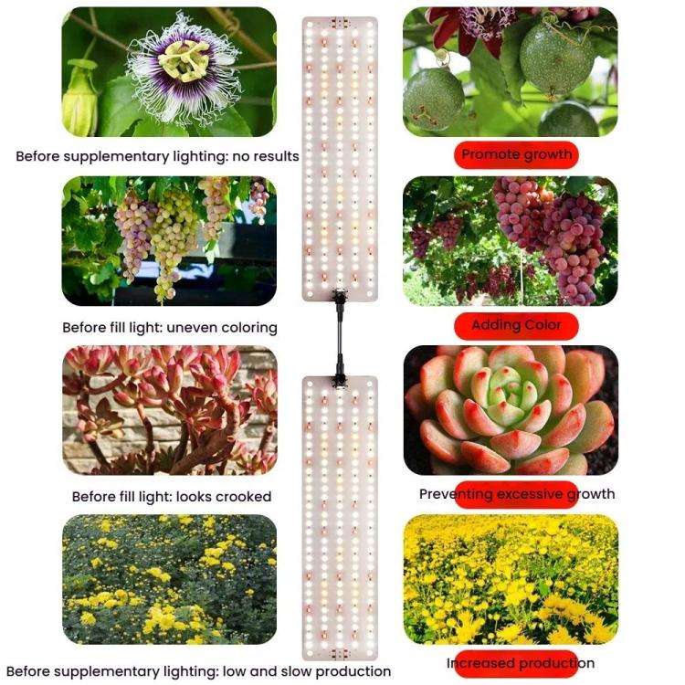 Cold Light LED Parallel Quantum Board Indoor Plant Growth Lamp, Model: Two Heads(UK Plug)