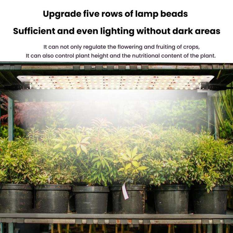 Cold Light LED Series Quantum Board Indoor Plant Growth Lamp, Model: Two Heads(US Plug)