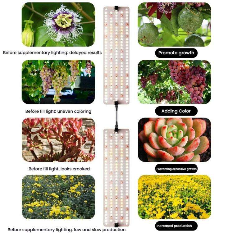 Cold Light LED Series Quantum Board Indoor Plant Growth Lamp, Model: Two Heads(US Plug)