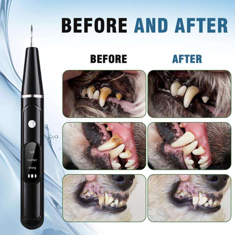 Pet Ultrasonic Teeth Cleaner Dog Tooth Brushing Kit Plaque Tartar Remover Dental Care Tool, Spec:...