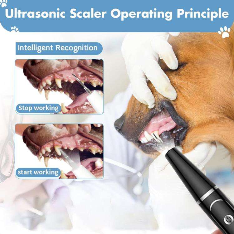 Pet Ultrasonic Teeth Cleaner Dog Tooth Brushing Kit Plaque Tartar Remover Dental Care Tool, Spec:...