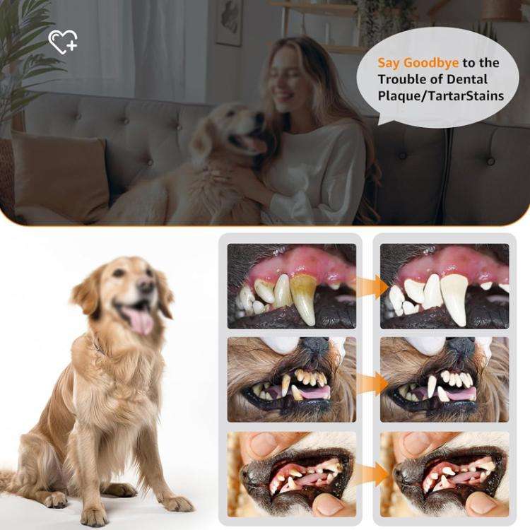 Pet Ultrasonic Teeth Cleaner Dog Tooth Brushing Kit Plaque Tartar Remover Dental Care Tool, Spec:...