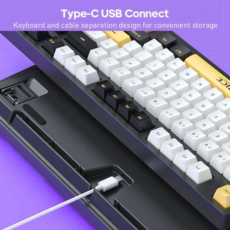 iMICE GK-500 Type-C Wired Mechanical Keyboard Gaming Keyboards(Black)