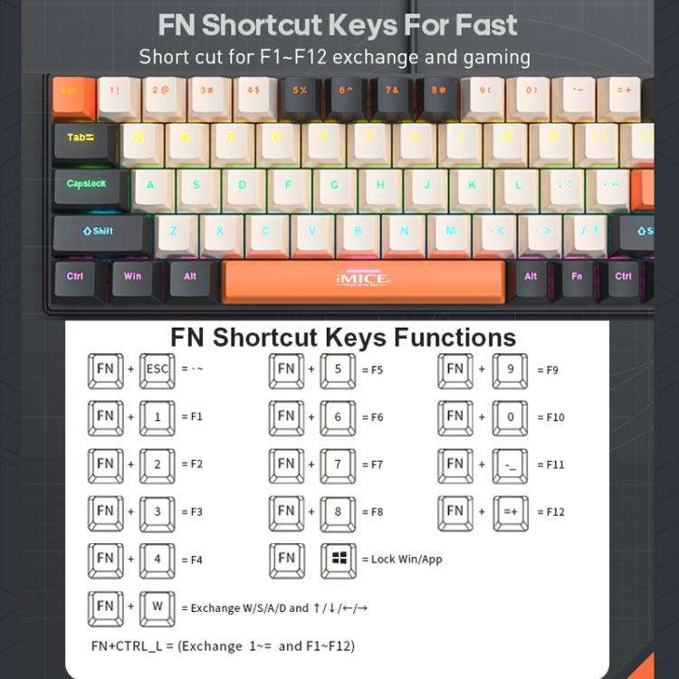 iMICE GK-690 Type-C Wired Mechanical Keyboard(Black Orange White)