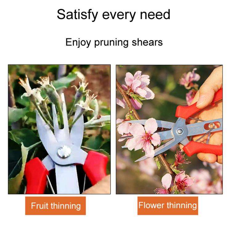 6608-1 Agricultural Fruit And Flower Thinning Scissors Home Gardening Pruning Tools