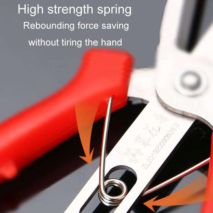 6608-1 Agricultural Fruit And Flower Thinning Scissors Home Gardening Pruning Tools