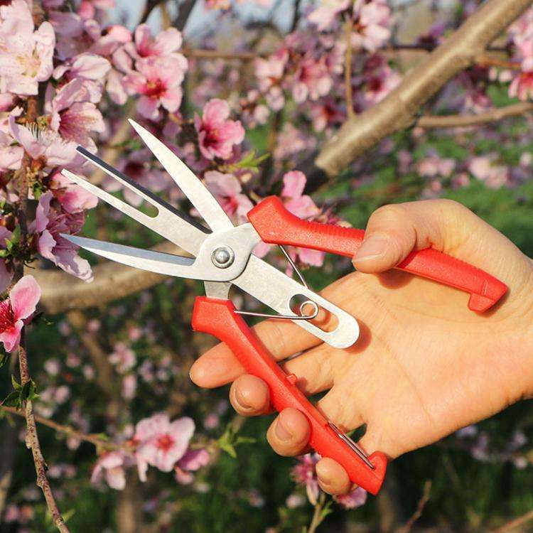 6608-1 Agricultural Fruit And Flower Thinning Scissors Home Gardening Pruning Tools