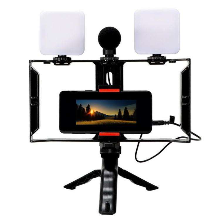 Smartphone Video Rig Kit with LED Fill Light & Microphone All-in-One Mobile Live Streaming(AY-49X)