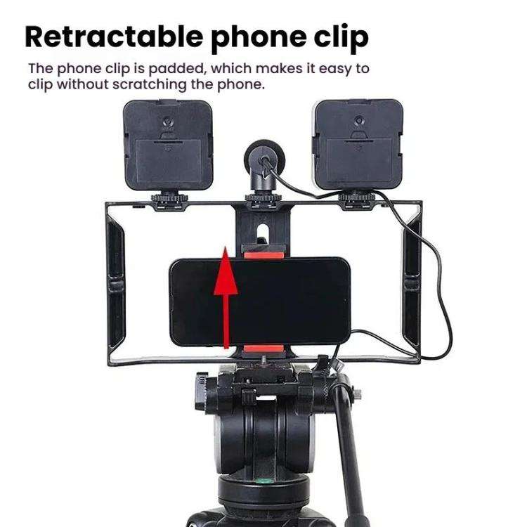 Smartphone Video Rig Kit with LED Fill Light & Microphone All-in-One Mobile Live Streaming(AY-49X)