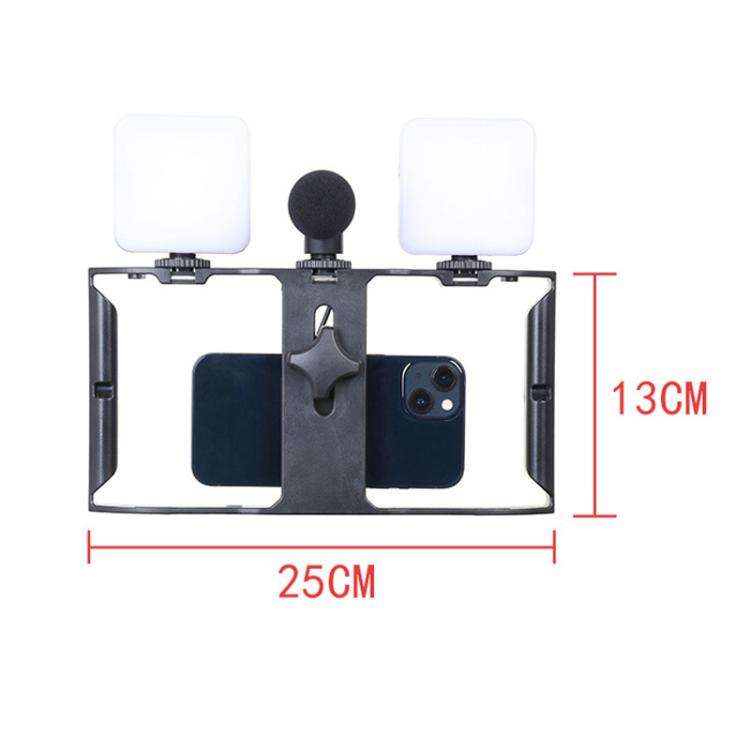 Smartphone Video Rig Kit with LED Fill Light & Microphone All-in-One Mobile Live Streaming(AY-49X)