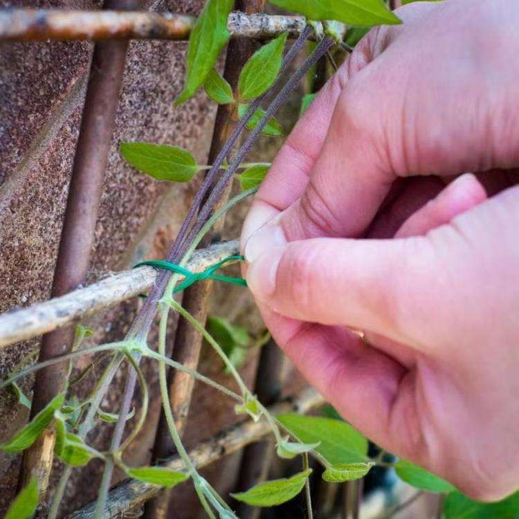 30m Garden Rope Fabric Cord Plant Support Ties(Green)
