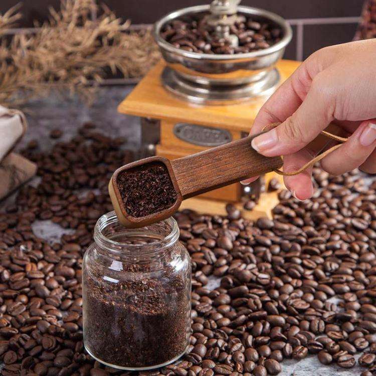 Short Handle Solid Wood Square Coffee Spoon Measuring Seasoning Scoop Teaspoon