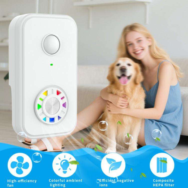 Negative Ion Air Purifier With Built-In Fan And 2 HEPA Filters For Indoor Bathroom Odor Removal E...