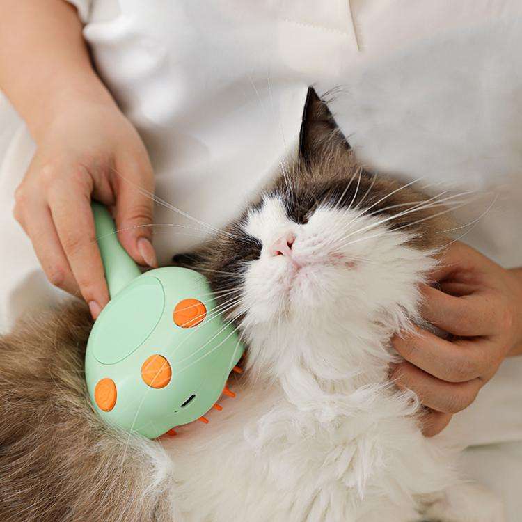 Pet Cleaning Spray Massage Comb(White)