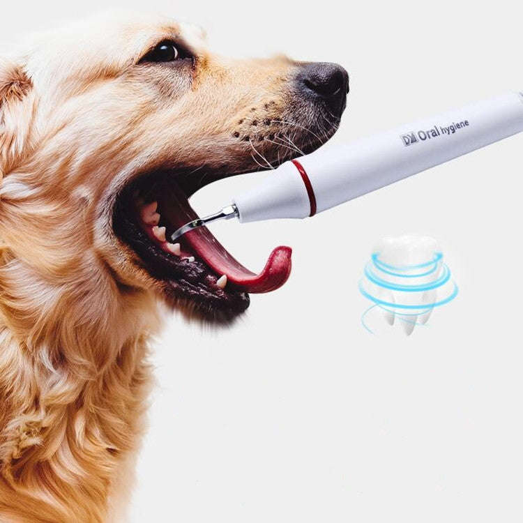 Ultrasonic Dental Washing Machine for Pet Dog Teeth Stone Remover, Plug Specifications:EU Plug(Pink)